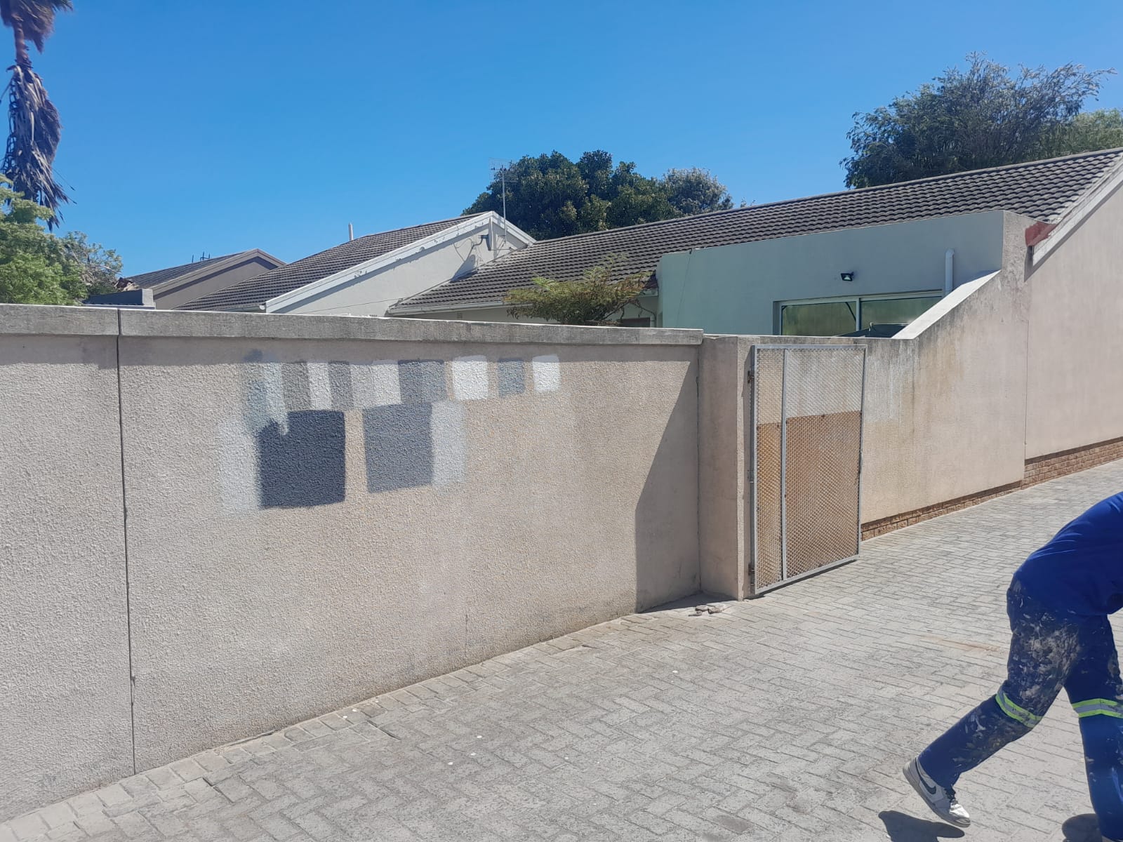 WhatsApp Image 2026-02-19 at 11.43.14 PM (1)