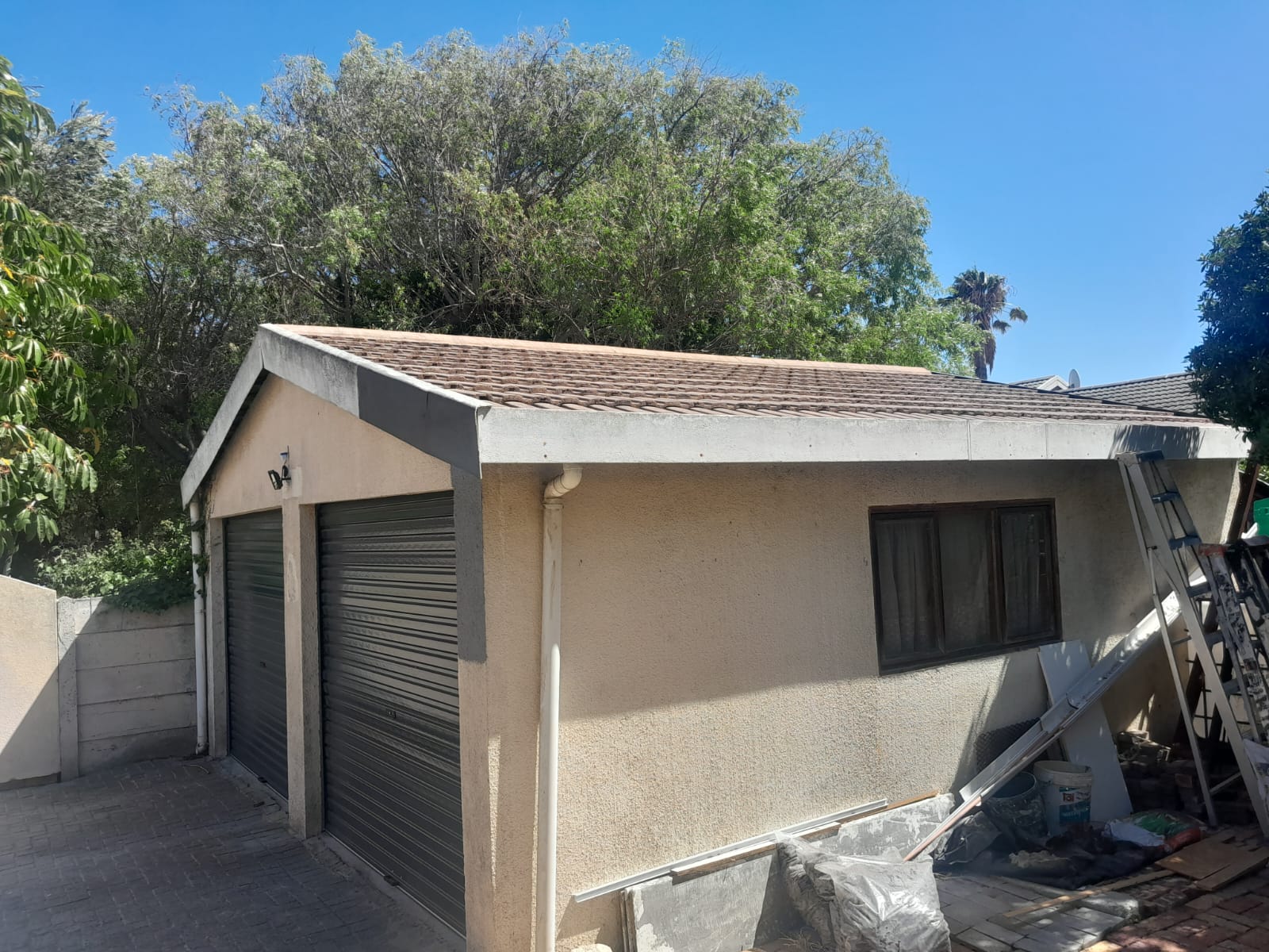 WhatsApp Image 2026-02-19 at 11.43.15 PM (3)