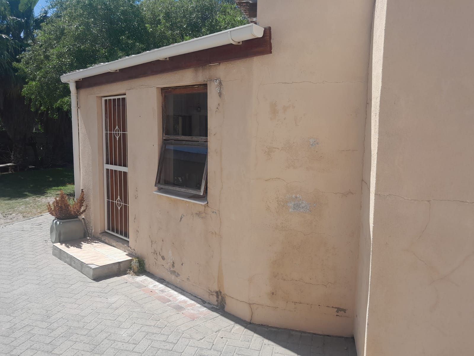 WhatsApp Image 2026-02-19 at 11.43.15 PM