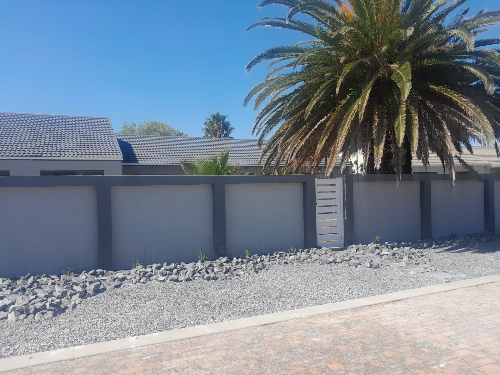 WhatsApp Image 2026-02-19 at 11.43.16 PM