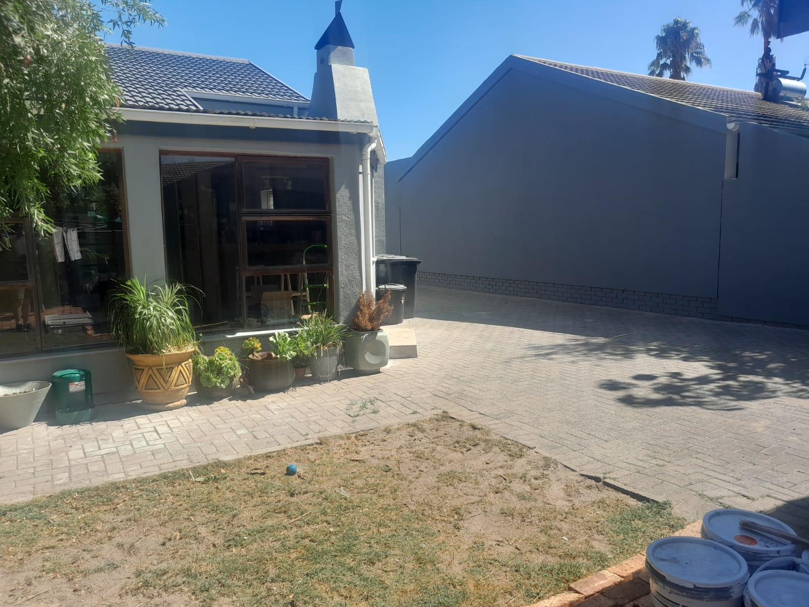 WhatsApp Image 2026-02-19 at 11.43.17 PM