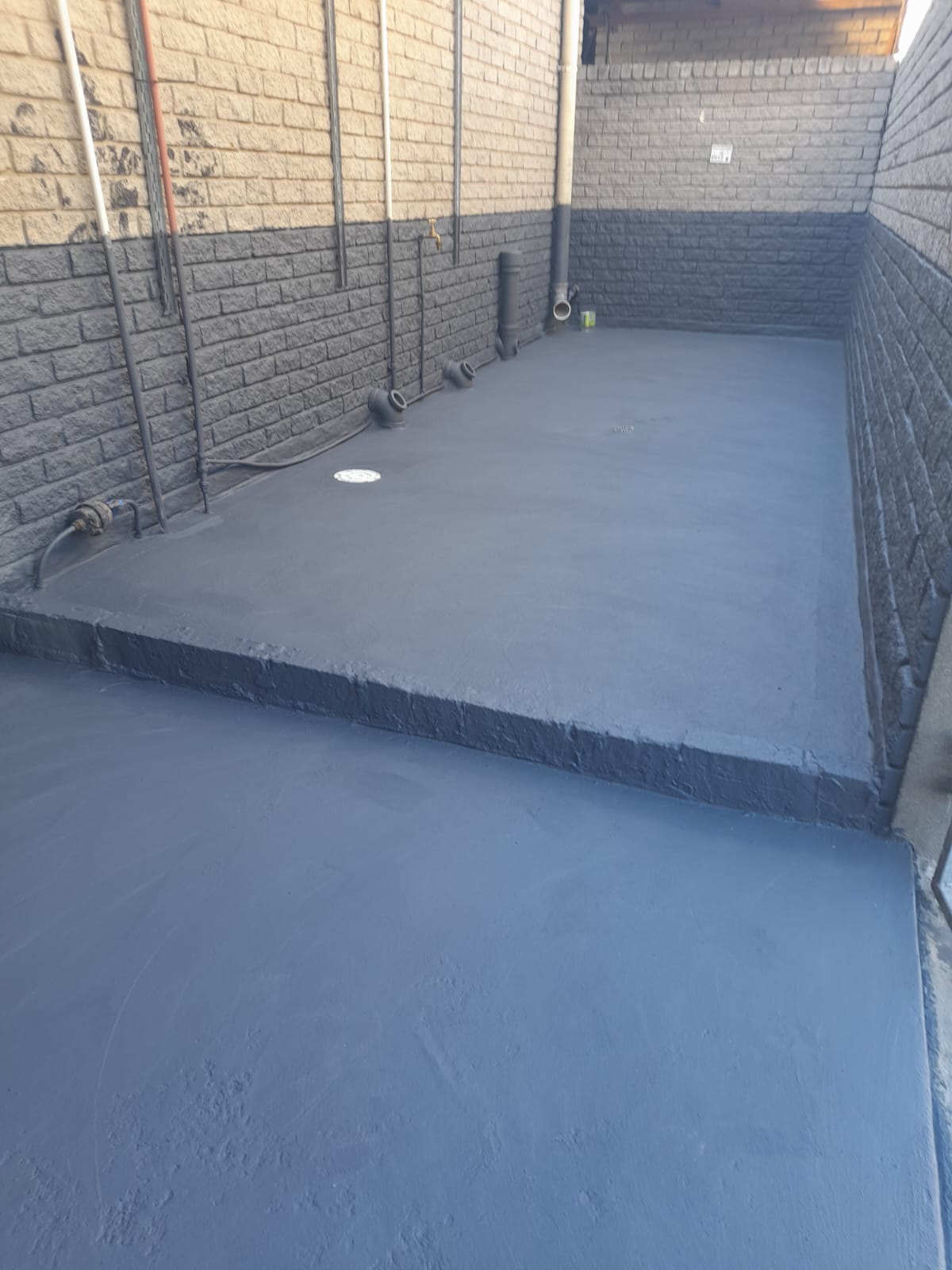 WhatsApp Image 2026-02-19 at 11.44.53 PM (3)