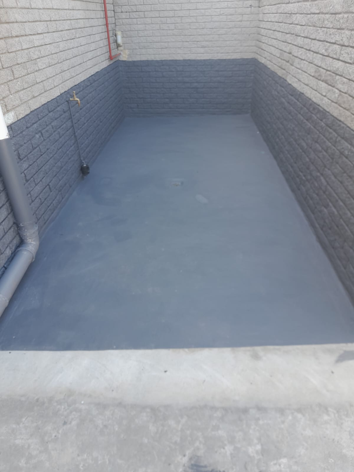 WhatsApp Image 2026-02-19 at 11.44.53 PM