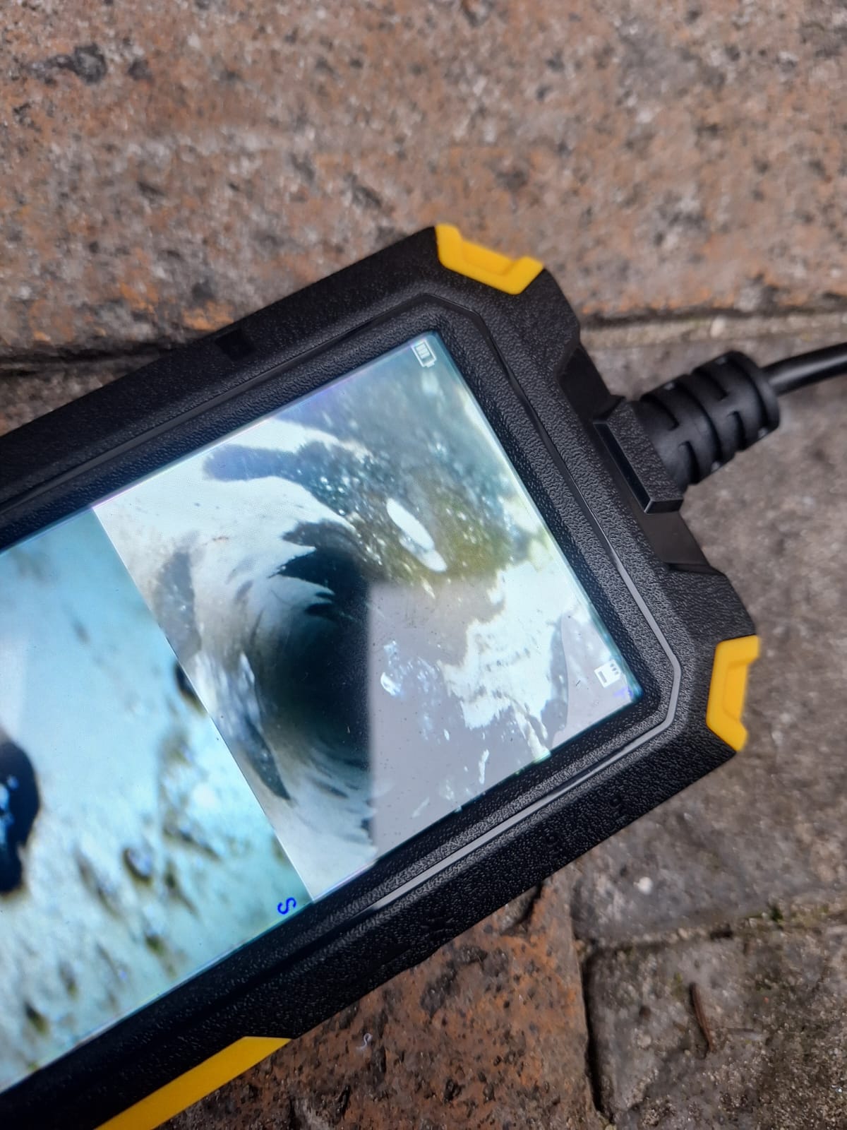 WhatsApp Image 2026-02-19 at 11.46.55 PM