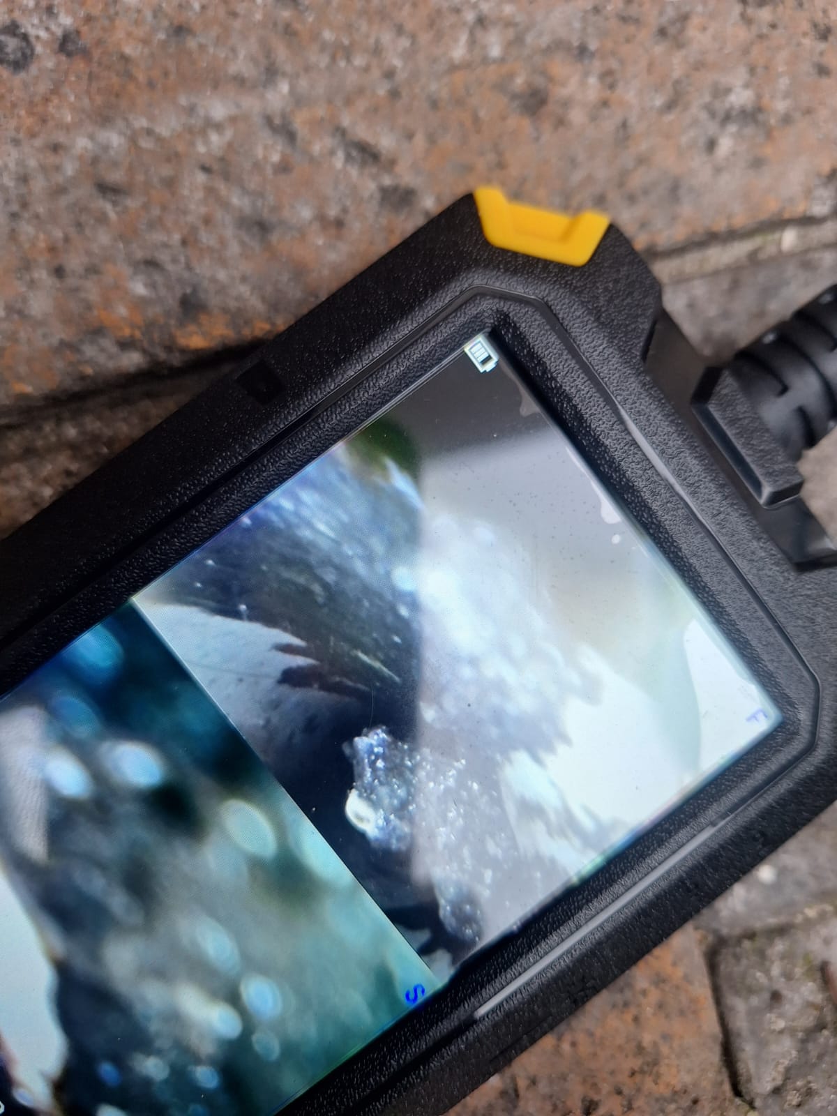 WhatsApp Image 2026-02-19 at 11.46.56 PM (1)