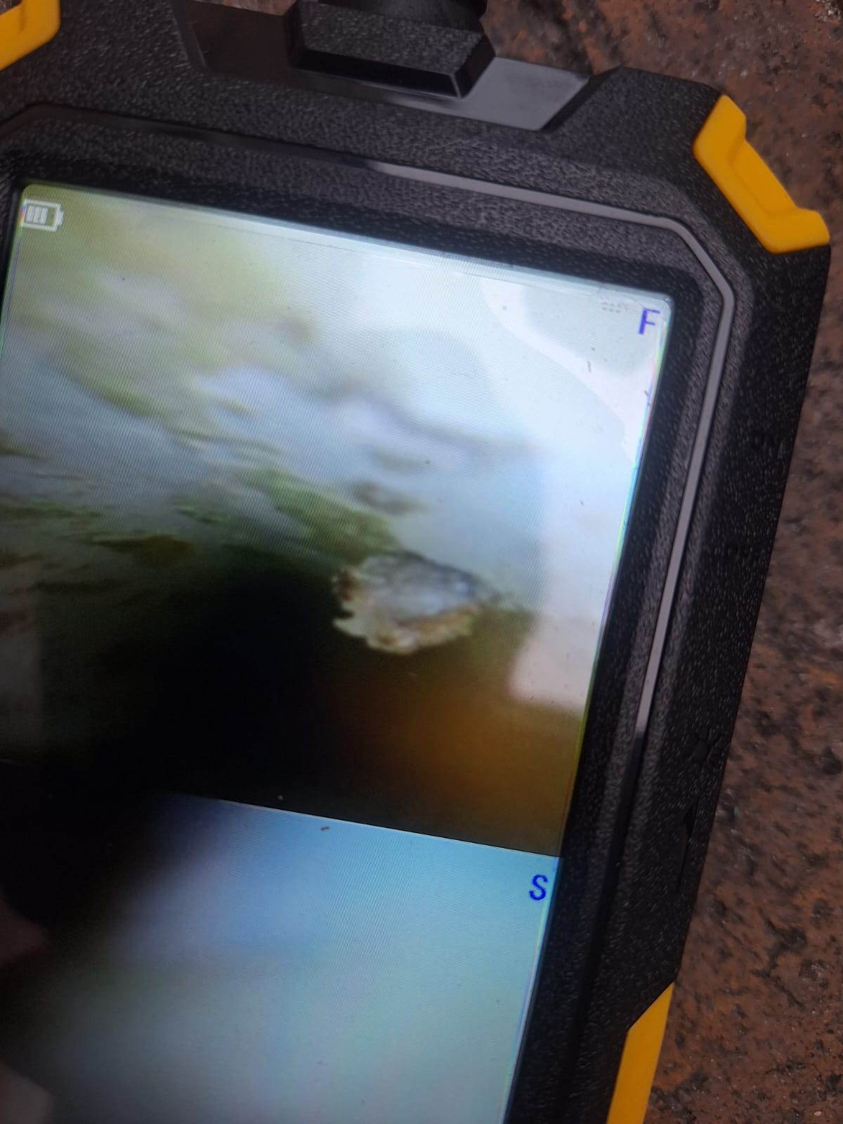 WhatsApp Image 2026-02-19 at 11.46.56 PM (2)