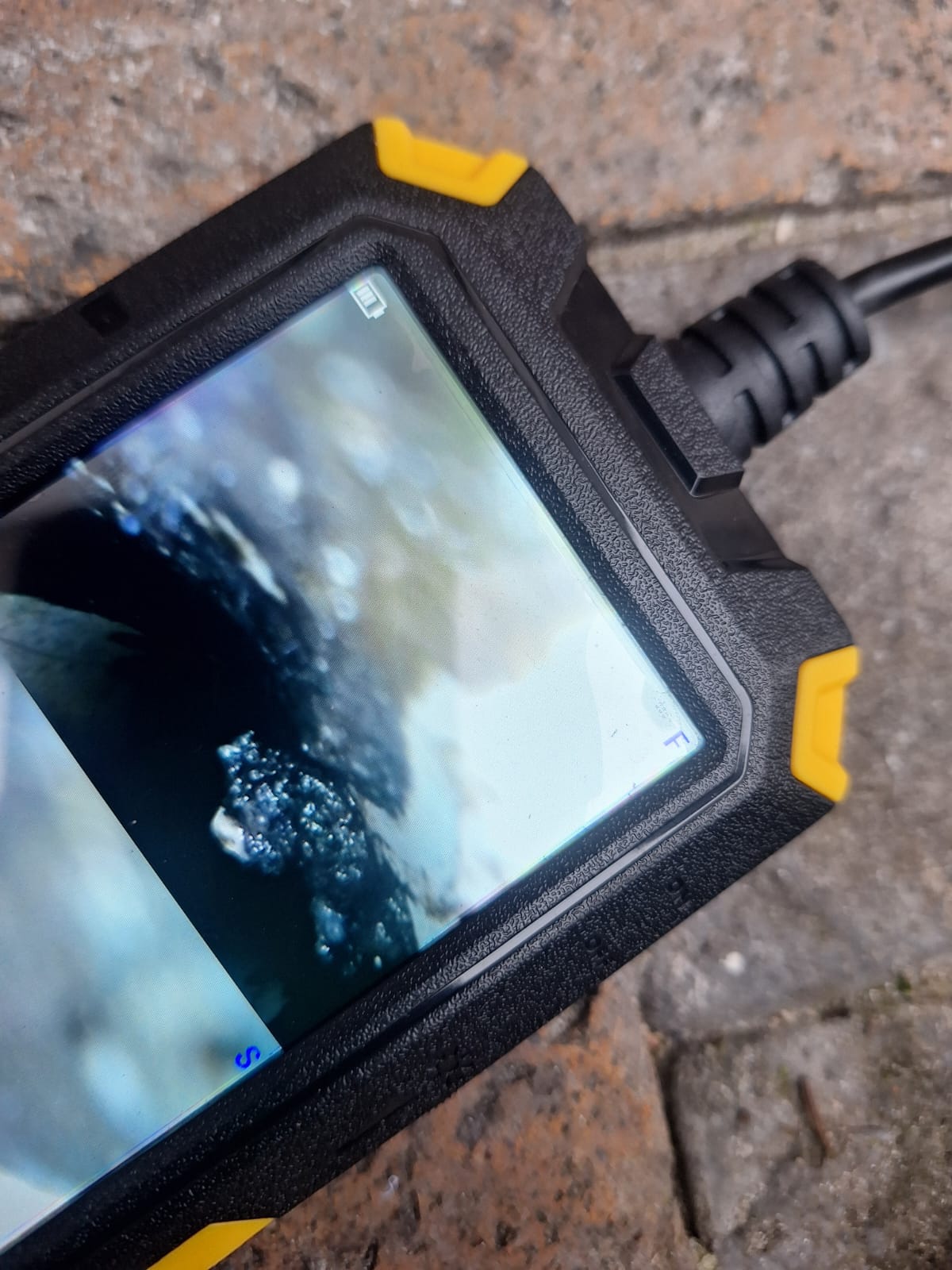 WhatsApp Image 2026-02-19 at 11.46.56 PM