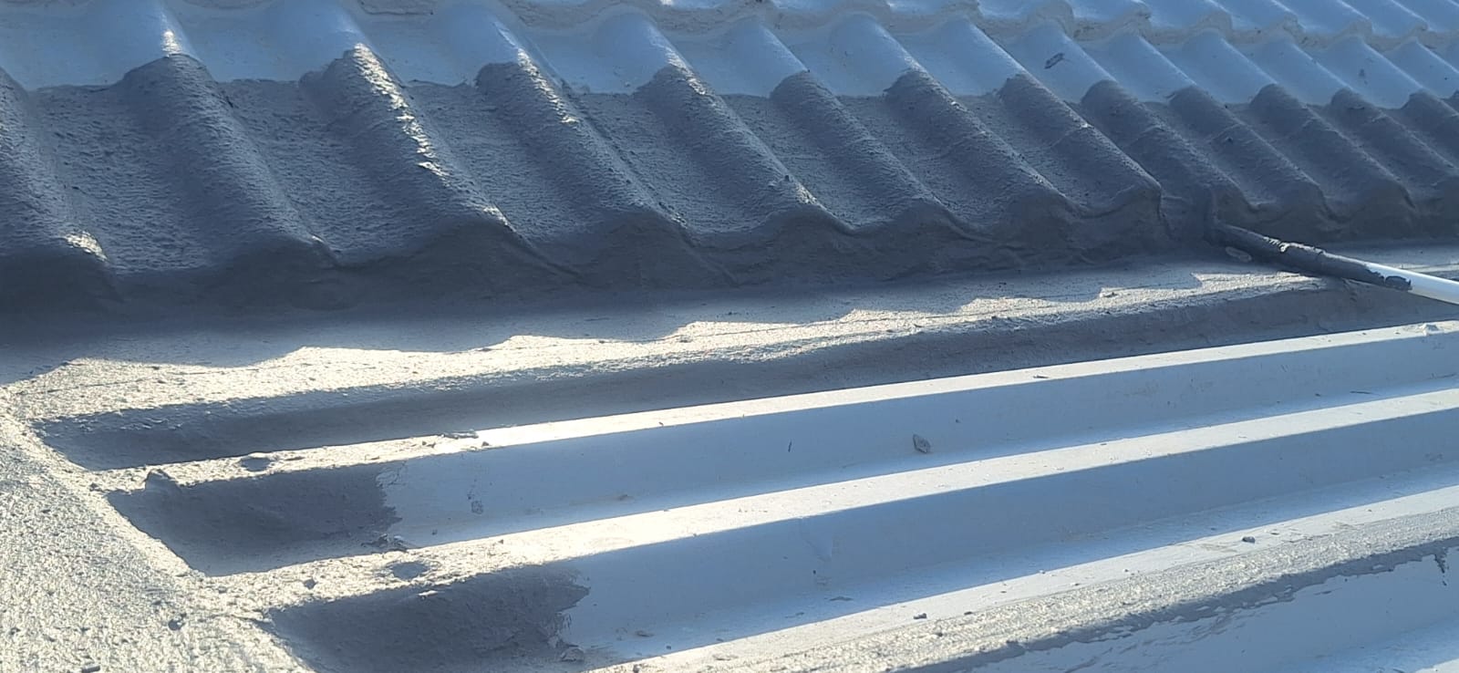 WhatsApp Image 2026-02-19 at 11.49.10 PM (1)