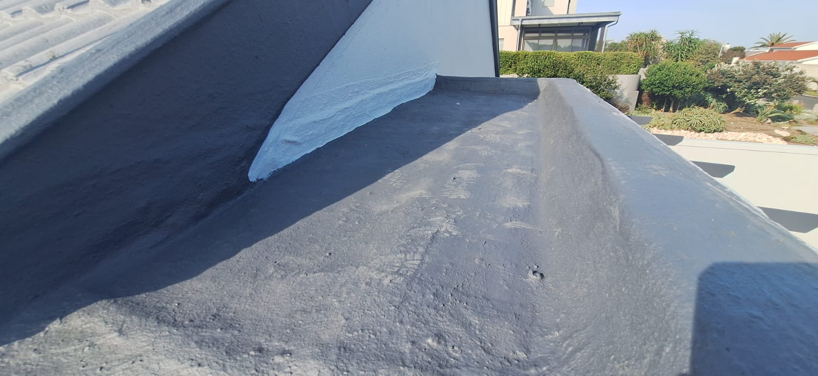 WhatsApp Image 2026-02-19 at 11.49.10 PM