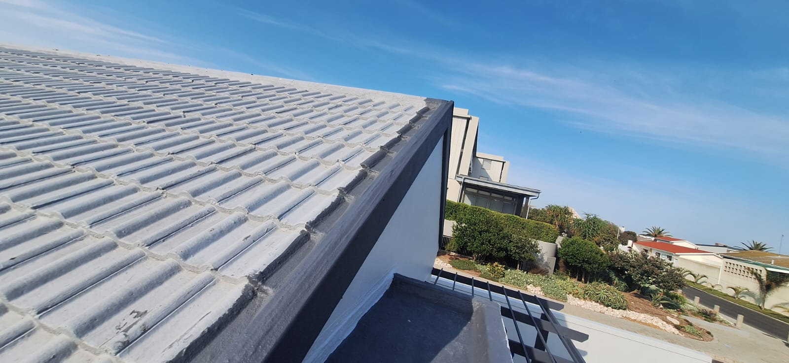 WhatsApp Image 2026-02-19 at 11.49.11 PM (1)