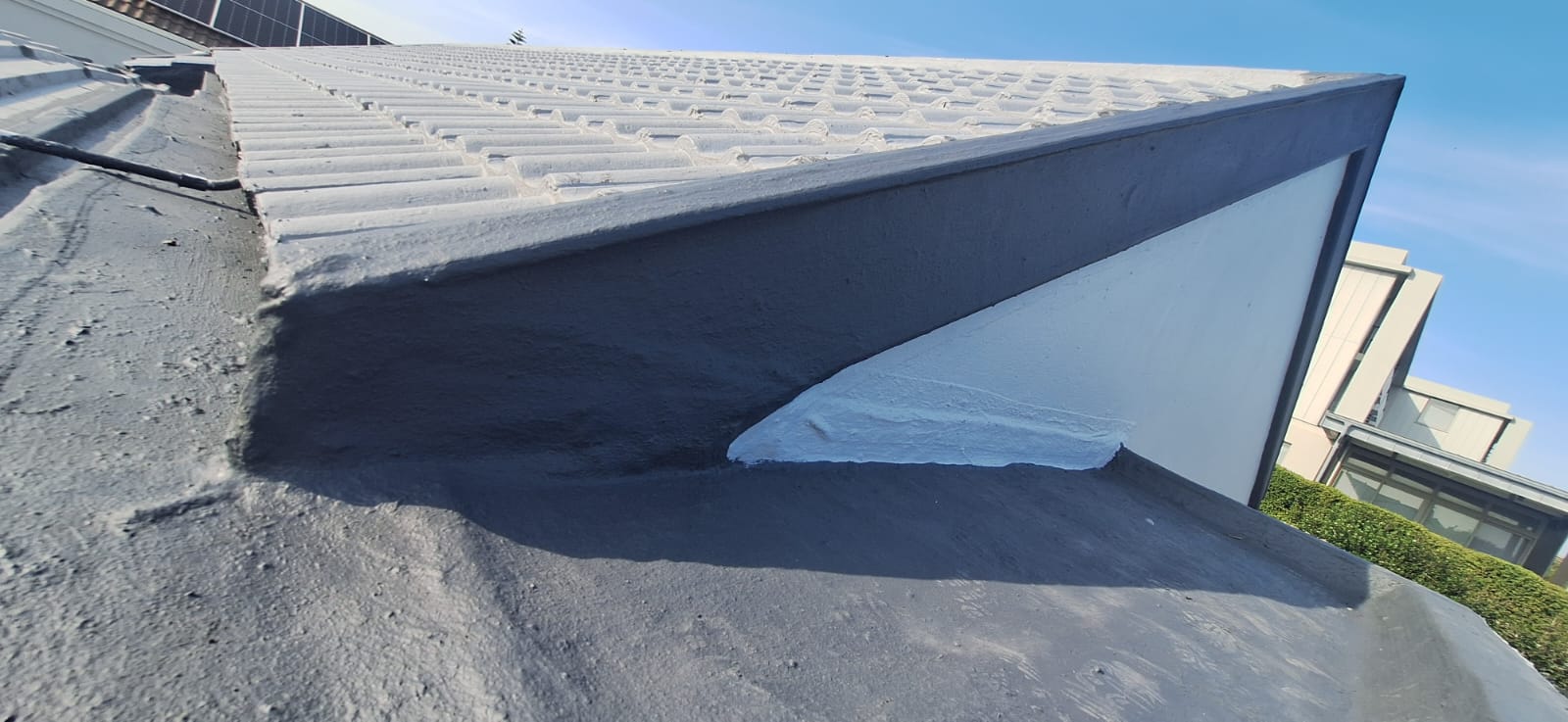 WhatsApp Image 2026-02-19 at 11.49.11 PM